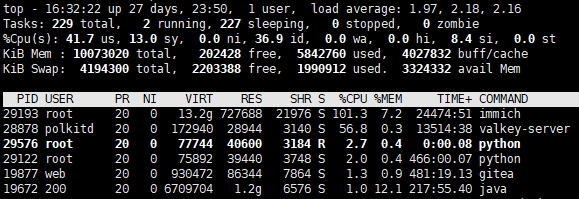 Linux查看资源占用情况 top